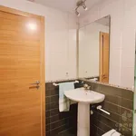 Alquilo 1 dormitorio apartamento de 52 m² en O Milladoiro