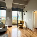 Rent 4 bedroom apartment of 97 m² in Turin