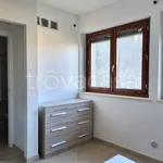 Rent 1 bedroom apartment of 35 m² in Viterbo