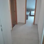 Rent 1 bedroom apartment in Ústí nad Labem