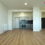 Rent 3 bedroom apartment of 69 m² in Ostrava