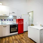 Rent 1 bedroom apartment of 28 m² in Florence