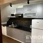 Rent 1 bedroom apartment of 46 m² in Liberec