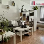 Rent 1 bedroom apartment of 39 m² in Zlín