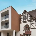 Rent 1 bedroom apartment of 35 m² in Meißenheim