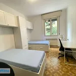 Rent 3 bedroom apartment of 80 m² in Bologna