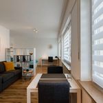 Rent 1 bedroom apartment of 35 m² in Leverkusen