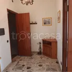 Rent 3 bedroom apartment of 100 m² in Frosinone