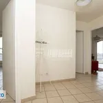 Rent 3 bedroom apartment of 70 m² in Turin