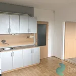 Pronajměte si 1 ložnic/e byt o rozloze 40 m² v České Budějovice