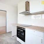 Pronájem bytu 1+1 42m²