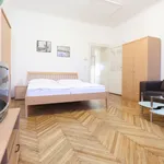 Rent 1 bedroom apartment of 32 m² in Vienna