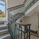 Rent 5 bedroom house of 570 m² in Roma