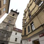 Rent 2 bedroom apartment of 90 m² in Capital City of Prague