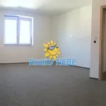 Pronajměte si 4 ložnic/e byt o rozloze 95 m² v Šestajovice Na Viničkách