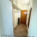 Rent 1 bedroom apartment of 35 m² in Brno