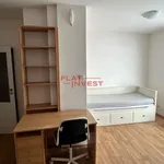 Rent 1 bedroom apartment in Capital City of Prague