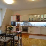 Rent 6 bedroom apartment of 203 m² in Prague