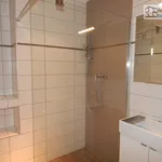 Rent 3 bedroom apartment of 90 m² in Brno