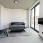 Rent a room of 143 m² in berlin