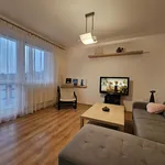 Rent 1 bedroom apartment of 52 m² in Brno