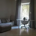 Rent 1 bedroom apartment in naples