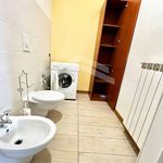 Rent 2 bedroom apartment of 50 m² in Campobasso