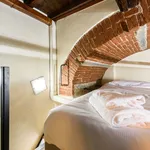 Rent 1 bedroom apartment of 60 m² in Florence