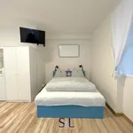 Rent 1 bedroom apartment in Liberec