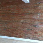 Rent 2 bedroom apartment of 55 m² in Toulouse