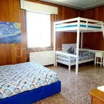 Rent 3 bedroom apartment of 80 m² in Cecina