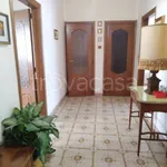 Rent 3 bedroom apartment of 80 m² in Torino