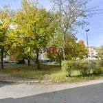 Rent 3 bedroom apartment in České Budějovice