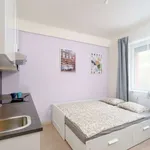 Studio o rozloze 23 m² v prague