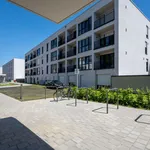 Rent 2 bedroom apartment of 44 m² in Trier