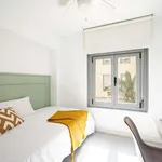 Rent a room in madrid