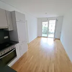 Rent 2 bedroom apartment of 38 m² in Graz