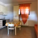 Rent 2 bedroom apartment of 45 m² in Foggia