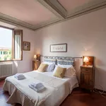 Rent 1 bedroom apartment of 40 m² in Florence