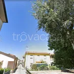 Rent 3 bedroom apartment of 55 m² in Ravenna