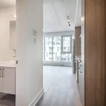  appartement avec 1 chambre(s) en location à Montreal