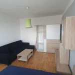 Rent 1 bedroom apartment of 33 m² in Ústí nad Labem