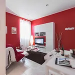 Rent 1 bedroom apartment in Florence