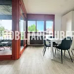 Rent 1 bedroom apartment of 45 m² in Varese