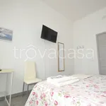 Rent 3 bedroom apartment of 80 m² in La Spezia