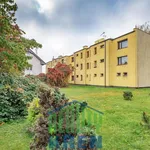 Rent 3 bedroom apartment of 75 m² in Capital City of Prague