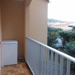 Appartement de 25 m² avec 1 chambre(s) en location à amelie les bains palalda