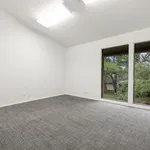 Rent 1 bedroom apartment in Austin