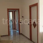 Rent 3 bedroom apartment of 100 m² in Caponago