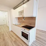 Rent 1 bedroom apartment of 43 m² in Brno